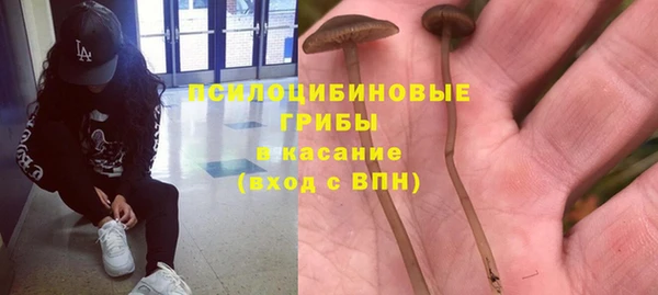 метадон Нея