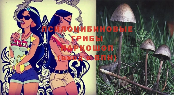 не бодяженный Нефтегорск